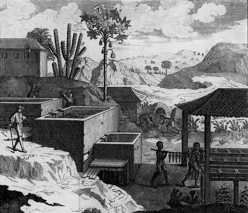 Indigo west indies french colony 18th century